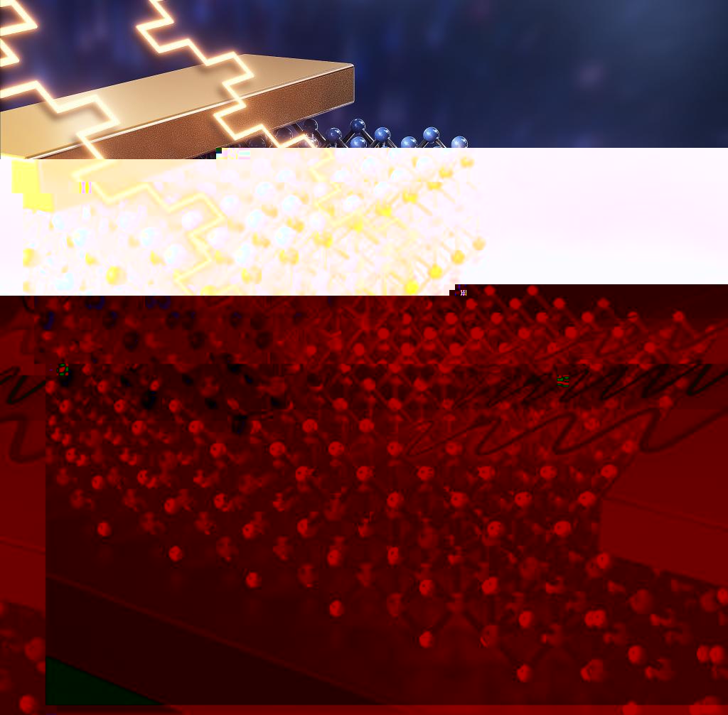 37876